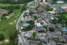 adult interaction platform features