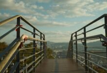 business overview and services