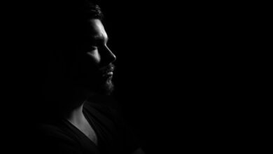 erguelop profile highlights overview