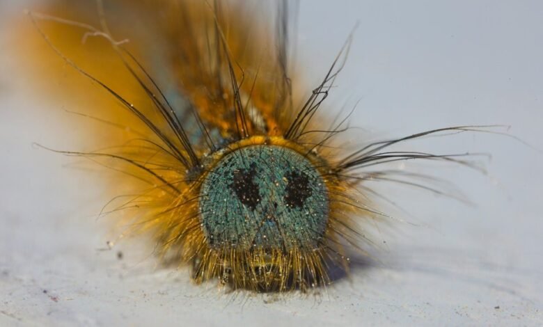 fixing klupzo333 errors guide