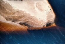 fleet billing service features