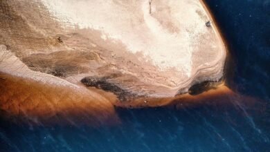 fleet billing service features