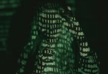 frost arnett contact details