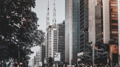 global business dynamics analysis