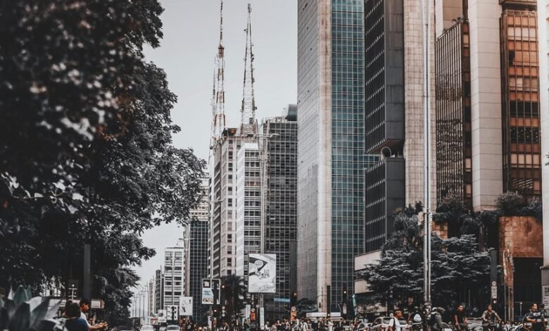 global business dynamics analysis