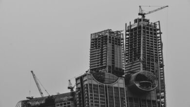 growth and development insights