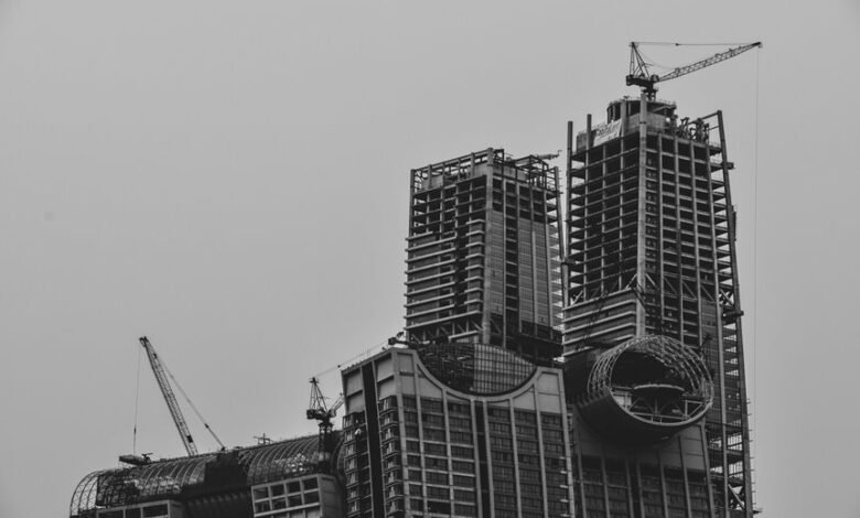 growth and development insights