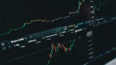 investment insights and trends