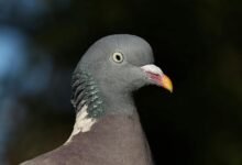 contact details information guide