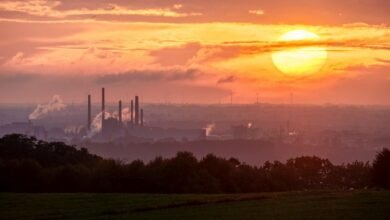 digital growth initiative launch