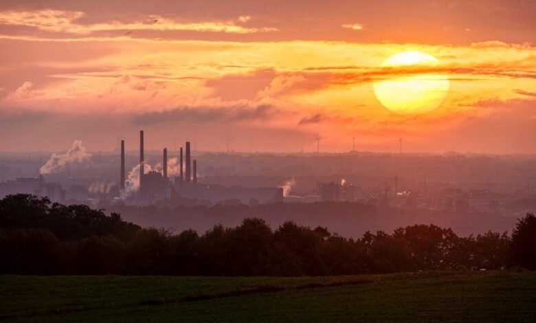 digital growth initiative launch