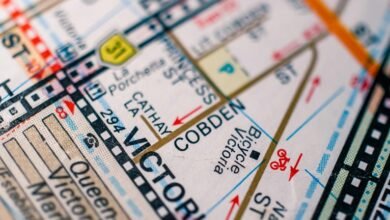 market analysis for engines