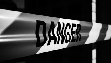 public risk alert summary