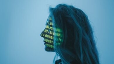 cyber intelligence coordination registry identifiers