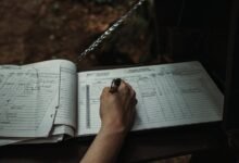 global verification activity identifiers logged