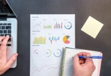 network integrity observation report identifiers