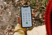 vertexnova intelligence contacts list